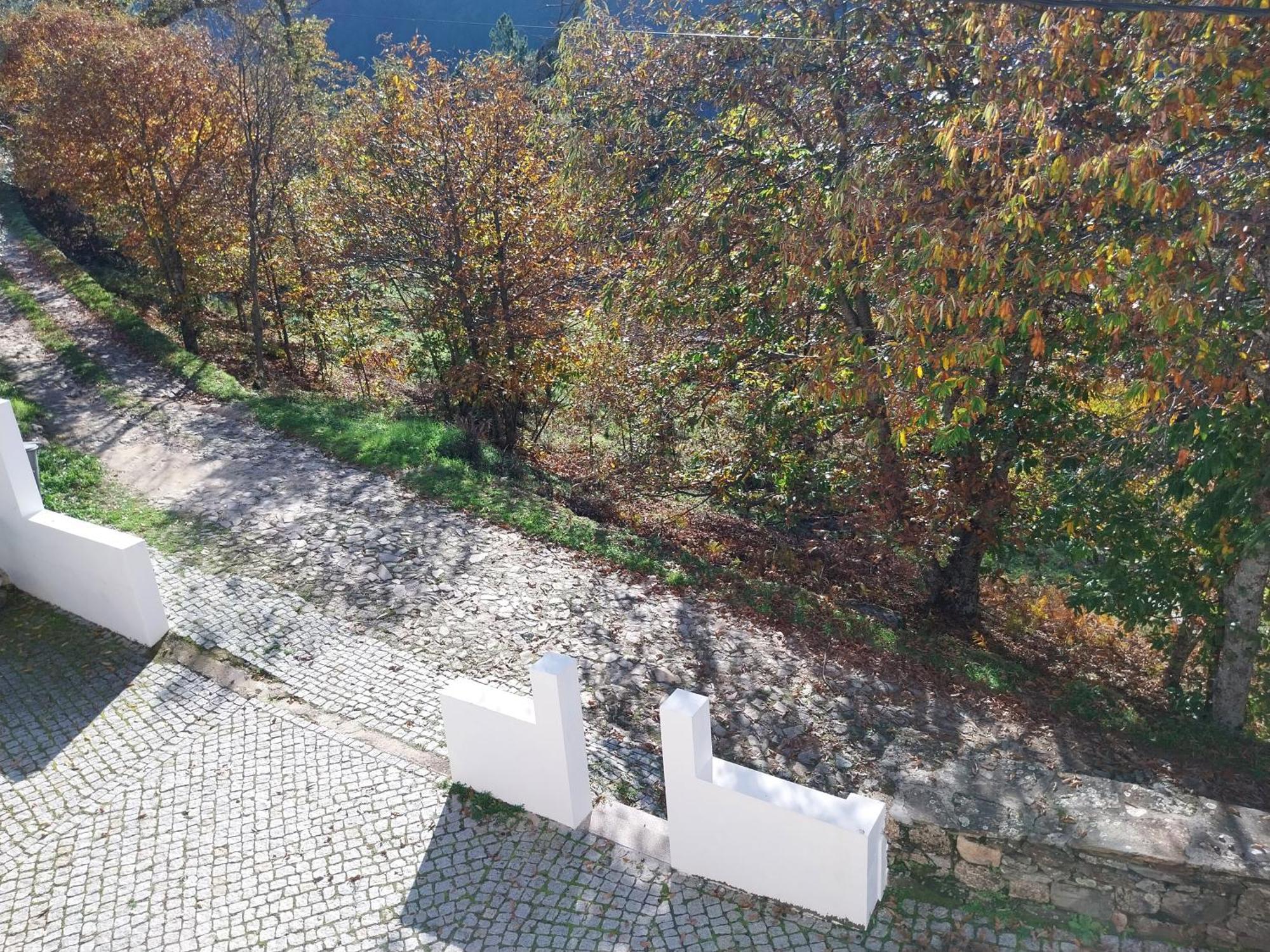 Casa Oliveiras - Holiday home
