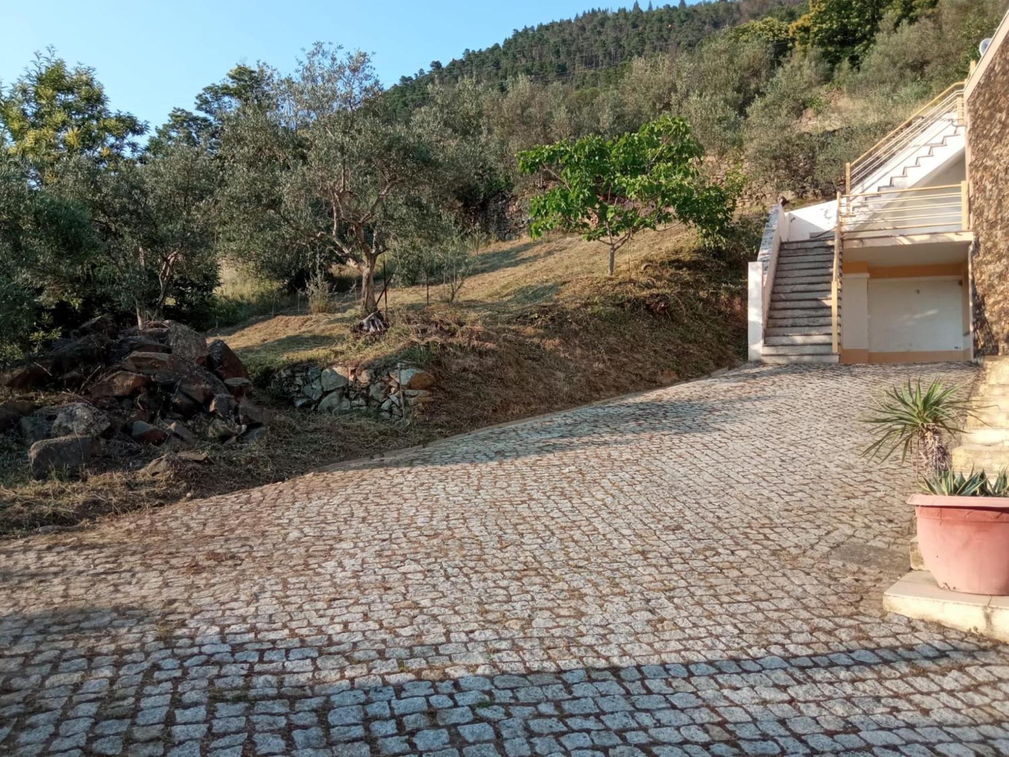 Holiday home Casa Oliveiras -