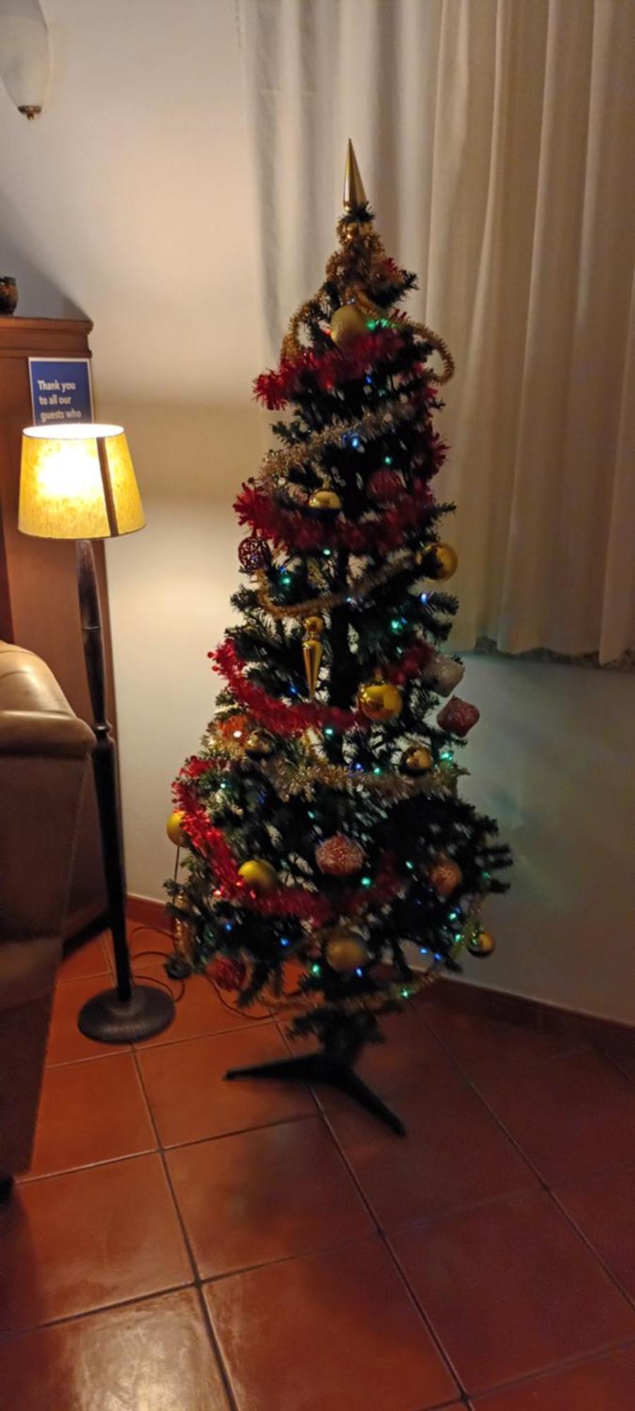 Casa Oliveiras - Holiday home