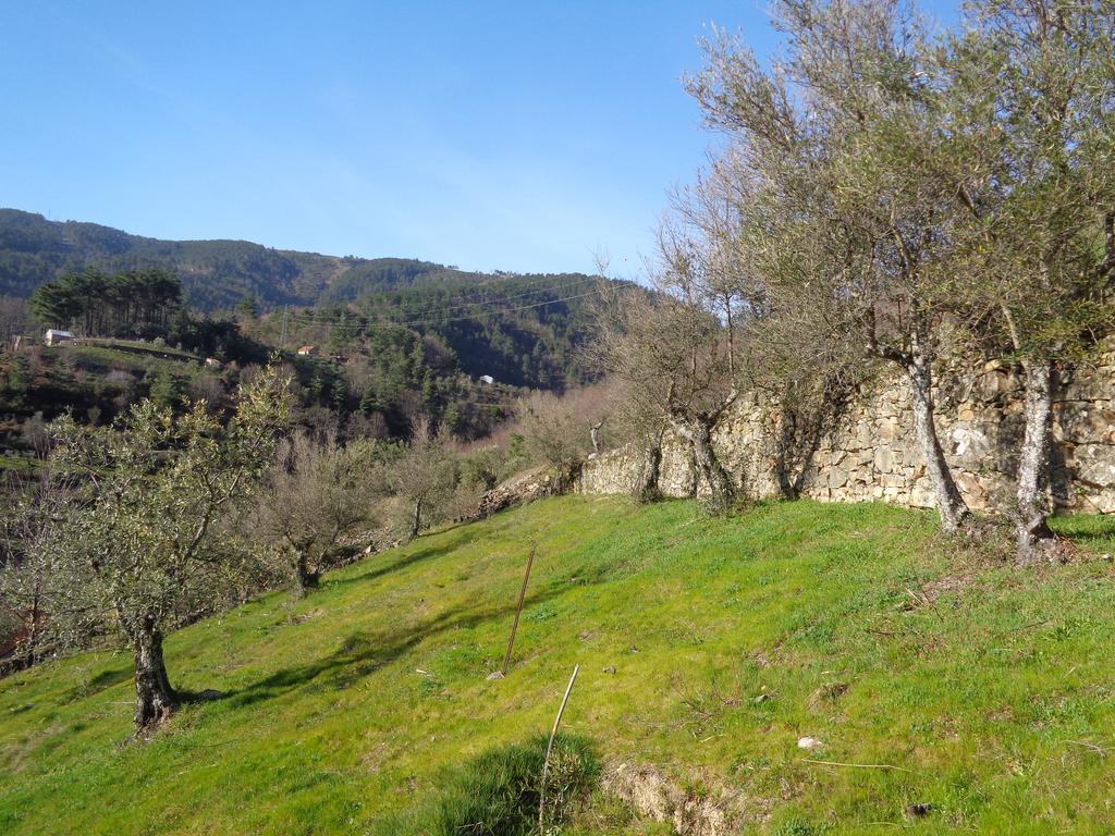 Holiday home Casa Oliveiras - *