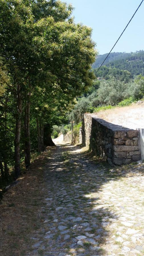 Holiday home Casa Oliveiras - Manteigas