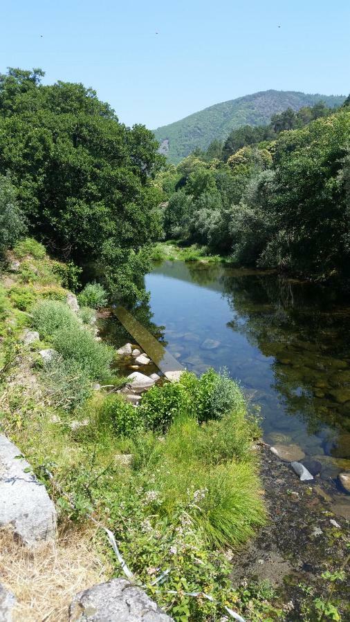 Casa Oliveiras - Holiday home Manteigas